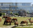 Turismo de Vigo